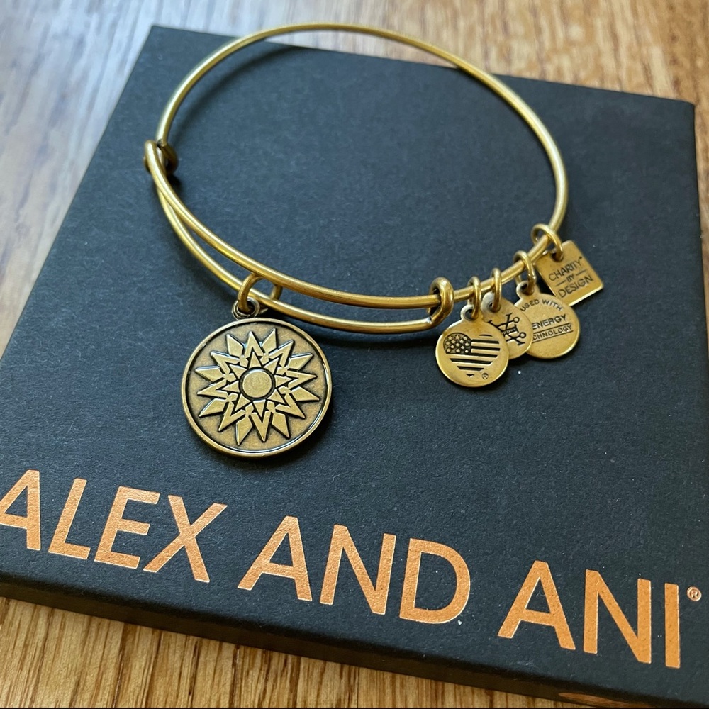 Alex and Ani New Beginnings Bracelet | NWT